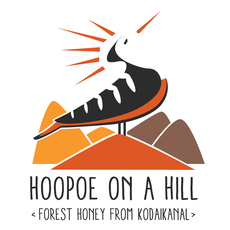 Hoopoe on a Hill